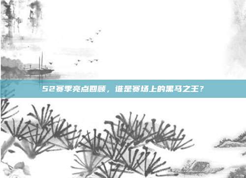 52赛季亮点回顾，谁是赛场上的黑马之王？