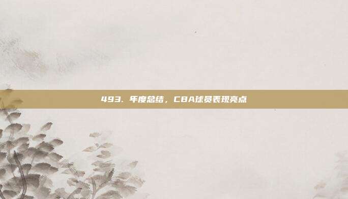 493. 年度总结，CBA球员表现亮点