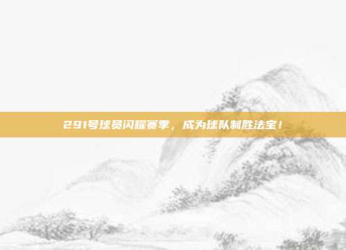 291号球员闪耀赛季，成为球队制胜法宝！