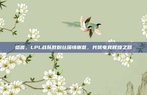 感言，LPL战队致粉丝深情谢意，共筑电竞辉煌之路